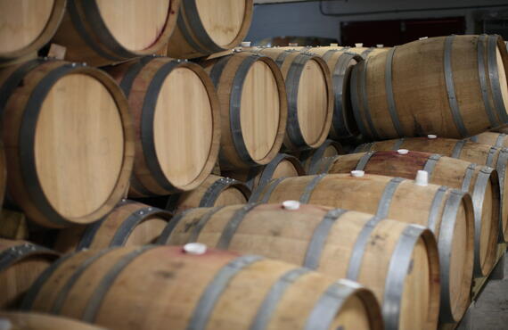 barrels of wine